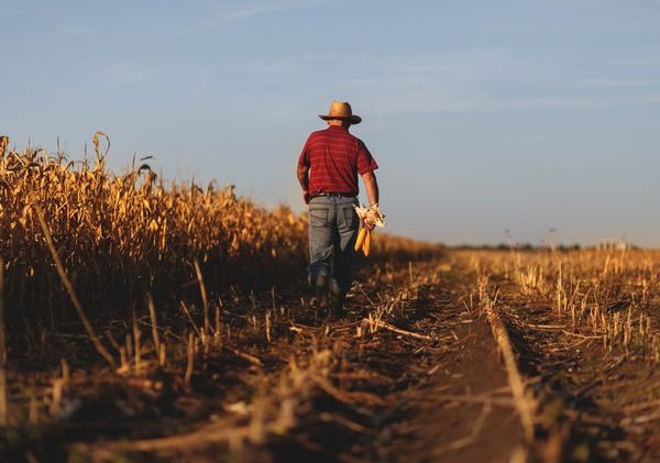 financiamento_agricultura