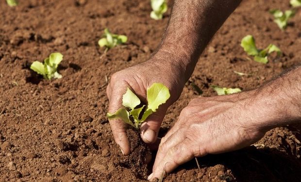 Garantia-Safra auxilia agricultores que residam em regiões com maior chance de estiagem ou enchente. Crédito: divulgação Mapa.