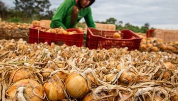 Aprovação na Comissão da Câmara garante mais segurança ao seguro rural, diz FPA