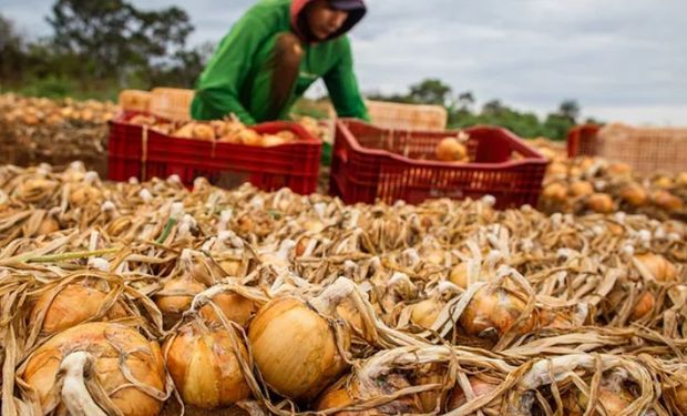 Aprovação na Comissão da Câmara garante mais segurança ao seguro rural, diz FPA