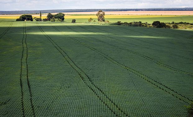 Estudo da PUC-RJ traça um mapa do seguro rural no Brasil:  há mais de mil municípios produtores de soja sem nenhuma cobertura. (foto - Agência Brasil)