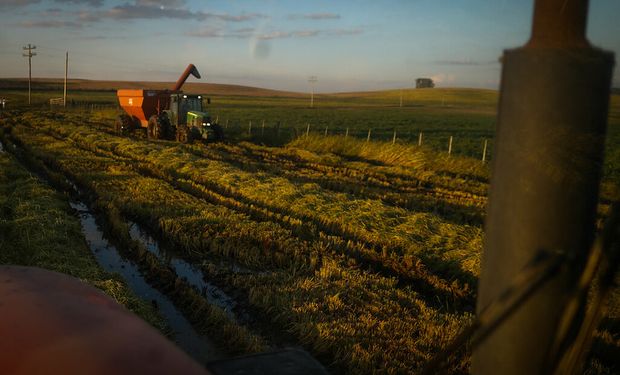 O PSR é um programa de subvenção do governo federal que tem como objetivo tornar o seguro rural mais acessível para os produtores rurais