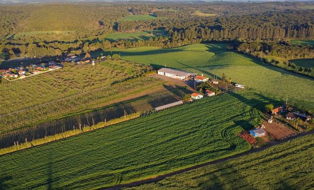Para acessar o benefício, o imóvel deve estar inscrito no Cadastro Ambiental Rural (CAR) . (Foto: Roberto Dziura Jr/AEN)