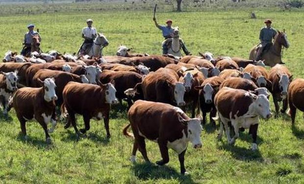 Esta situación generó dudas en algunos empleadores rurales.