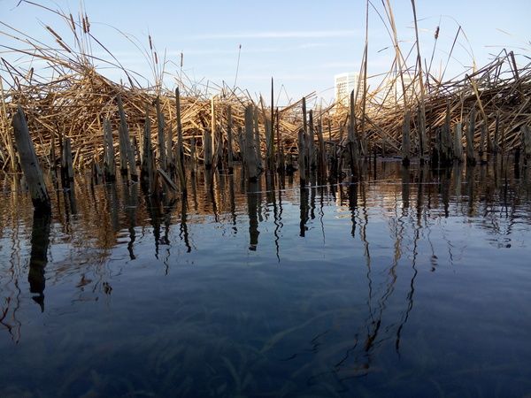 Seguro multirriesgo córdoba