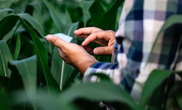 Tecnologia leva "homeopatia" à doença crônica do seguro rural