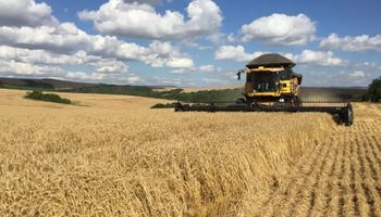 Governo libera R$ 179 milhões para seguro rural em maio e prioriza culturas de inverno