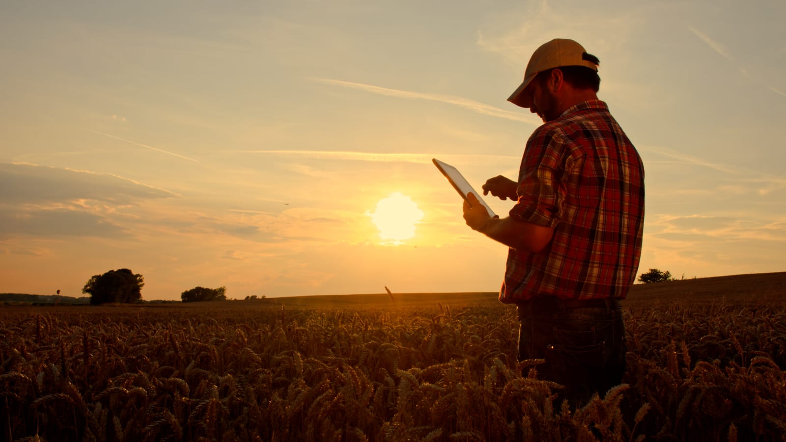 noticiaspuertosantacruz.com.ar - Imagen extraida de: https://news.agrofy.com.ar/noticia/210112/hay-mucha-demanda-aseguradora-lider-que-cubrio-50-mil-hectareas-fina-y-27-mil-gruesa