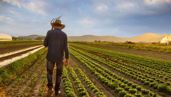 Selic alta é novo balde de água fria para o produtor rural