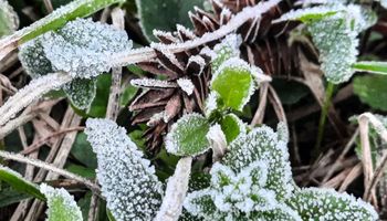 Reforço de ar polar vai intensificar frio no Brasil com geada generalizada