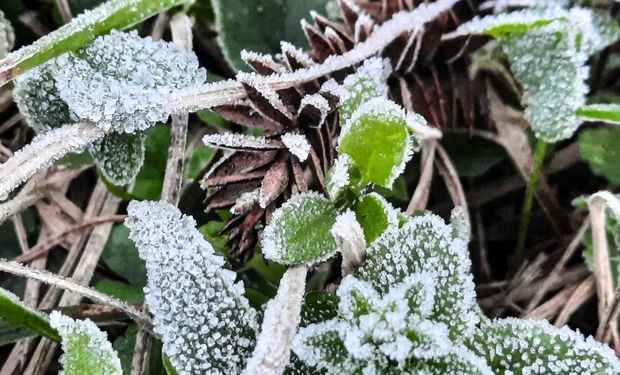 Reforço de ar polar vai intensificar frio no Brasil com geada generalizada