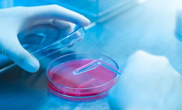 Resistência aos antimicrobianos (AMR) é um dos maiores desafios para a saúde pública, com importante impacto na saúde humana e dos animais