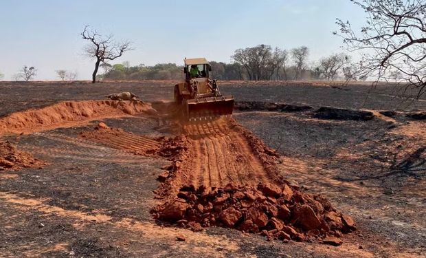 Fazendeiro teve que cavar uma cova para enterrar o gado (Foto -Foto: Kleyton Guilherme/TV Integração)