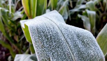 Nova frente fria provoca temporais no Sul e em Mato Grosso do Sul