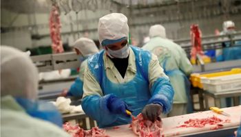 Acionistas minoritários da BRF aprovam fusão com a Marfrig – nasce a MBRF