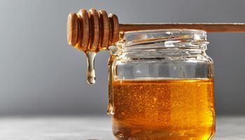 Tarifa de 50% dos EUA impacta 40 mil famílias produtoras de mel