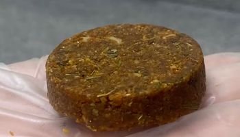 Nova ‘carne vegana’ feita com farinha de girassol pode ganhar mercado 