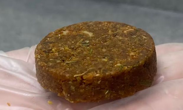 Nova ‘carne vegana’ feita com farinha de girassol pode ganhar mercado 