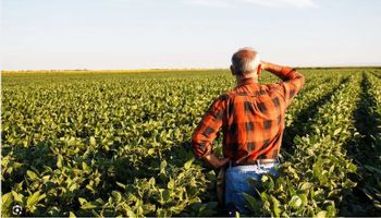 Para Banco Central, endividamento rural está em situação ‘alarmante’  