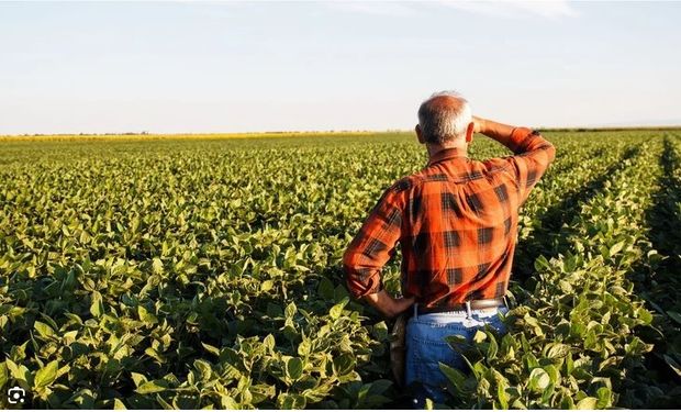 Para Banco Central, endividamento rural está em situação ‘alarmante’  