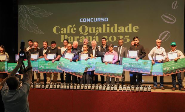 Quais os melhores cafés do Paraná? Produtoras são destaque em concurso de Curitiba
