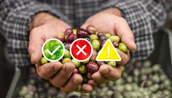 El arroz, la fruta y el vino son las economías regionales que se encuentran bajo alerta