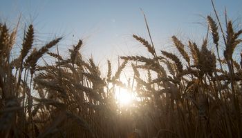 La sequía ya está instalada y el pronóstico del tiempo da otra semana sin soluciones: ¿Cuándo podría cambiar?