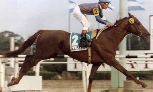 La historia del “El Sembrador”: el campeón del turf argentino que dejó huellas en San Isidro y logró un “maracanazo”