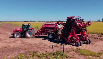 Nueva era en el campo: "La inteligencia artificial no va a reemplazar al ingeniero agrónomo; pero el agrónomo que usa IA sí va a reemplazar al que no la usa”