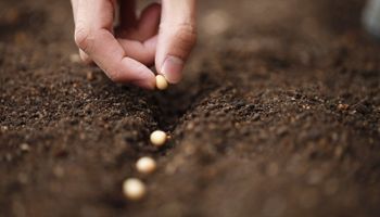 Plano Nacional de Fertilizantes: o que é preciso para sair do papel?