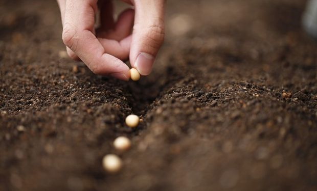 Brasil que ampliar em 30% produção própria de fertilizantes. (foto - ilustrativa)