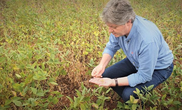 Secretário Jaime Verruck (foto) destaca potencial dos bioinsumos na redução da emissões de carbono. (foto - Semagro)