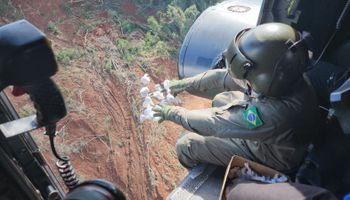 Helicópteros lançam 5 milhões de sementes no Vale do Taquari: veja o motivo