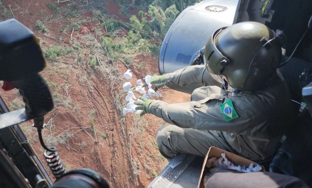 Helicópteros lançam 5 milhões de sementes no Vale do Taquari: veja o motivo