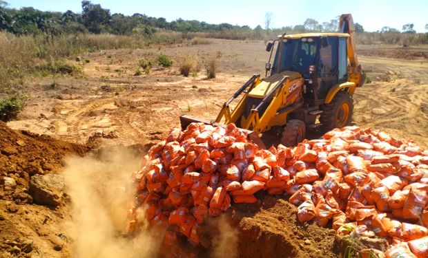 Eliminação do material é garantida por lei e serve para garantir a sanidade vegetal no estado de Mato Grosso.