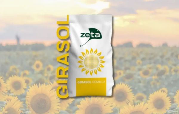 zeta girasol 
