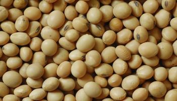 Semillas de soja: de la pampa húmeda a Estados Unidos