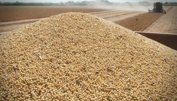 Ley de semillas: Agroindustria ya tiene listo el anteproyecto