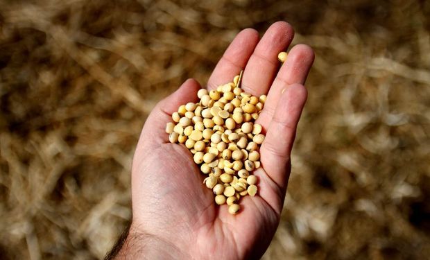 El INASE continúa con controles del uso de semillas en la presente campaña agrícola.