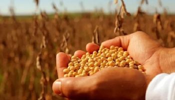 Cobrar por producir: la comparación que usa Domínguez para justificar su avance sobre el uso de semillas