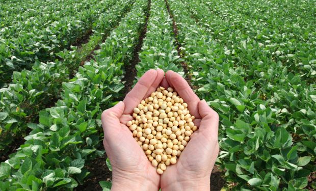 Nuevo Inoculante Bacteriano producido con Tecnología Osmo Protectora