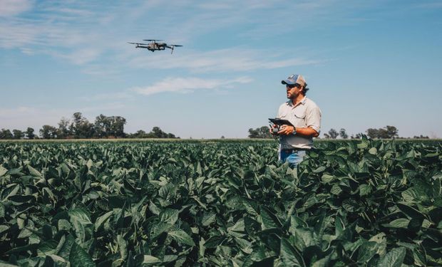 Semillas: la nueva genética que llega al mercado suma tecnología para ayudar al productor en el manejo