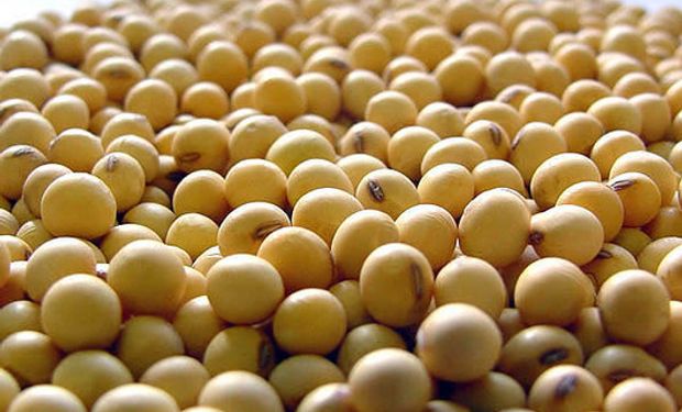“Buenos Aires Seed Convention-BASC2016”