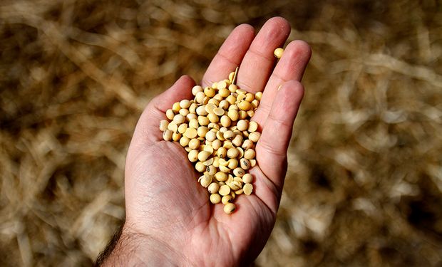 Basterra destacó la capacidad del sector semillero y la apertura de mercados