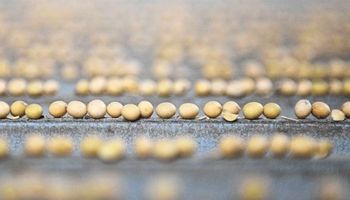 Método para analizar semillas del INTA se podrá usar en todo el mundo