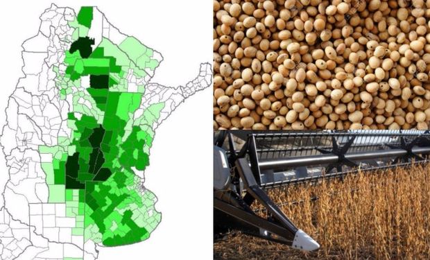 Buenos Aires, Córdoba y Santa Fé, son las provincias donde se informó la mayor superficie sembrada para soja 2016/17.