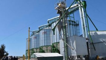 Chaco: semillas se procesan con frío para asegurar su calidad