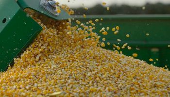 México mira a Sudamérica para la importación de granos