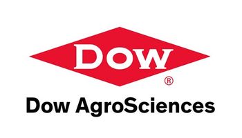 Los nuevos híbridos de maíz de Dow AgroSciences, pisan fuerte en el campo