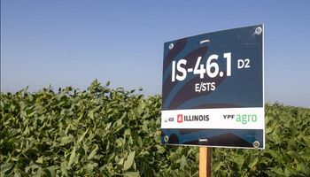 Las cinco variedades de soja que lanzó el semillero ILLINOIS junto a YPF Agro